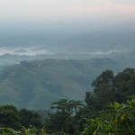 Paysage à Phu Chi Fah