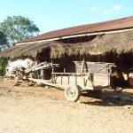 Hmong de Thailande et Laos-Le monde des Enfants Hmong